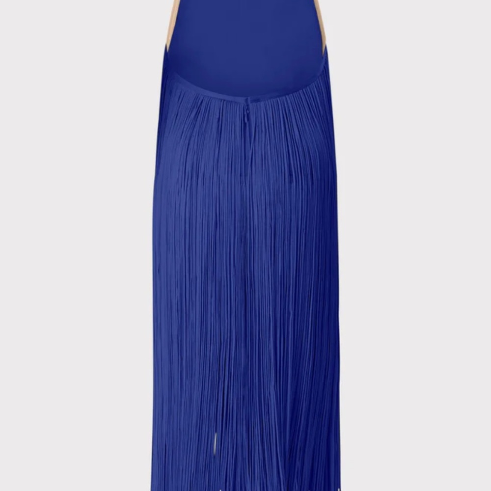 Herve Leger fringe dress size XS but runs like a S/M - Picture 3 of 9